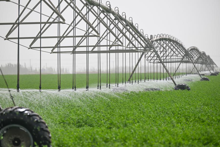 Çin'den 2027 Hedefli Su Tasarrufu Teknolojileri Hamlesi