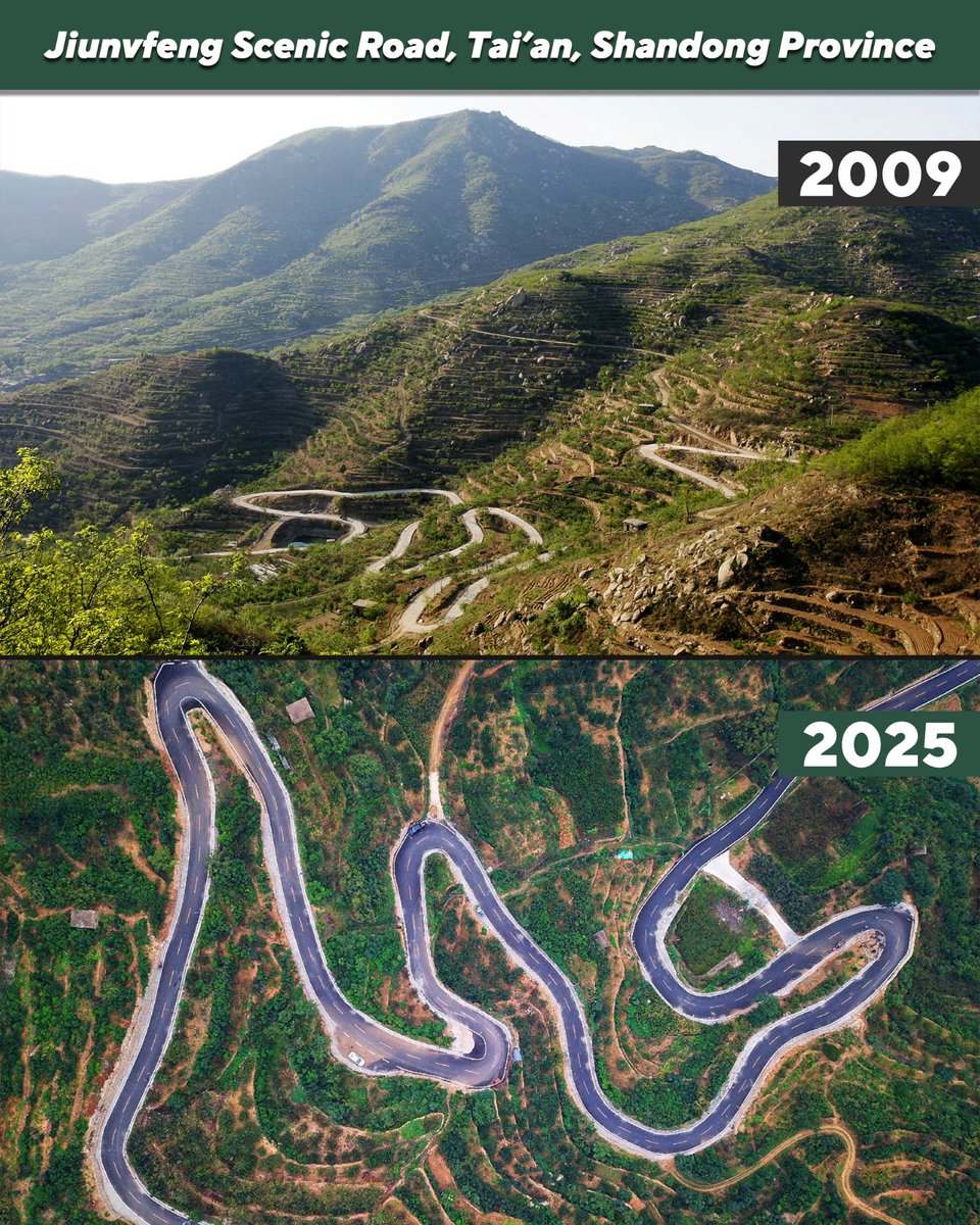 Shandong'da Kırsal Kalkınma: Jiunvfeng'den 19 Köye Uzanan Yeşil Dönüşüm