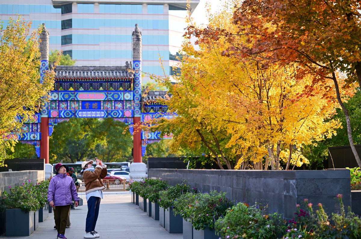 Pekin'de Sonbaharın Renk Cümbüşü: Yürüyüş Yolları Doğal Tablolara Dönüştü
