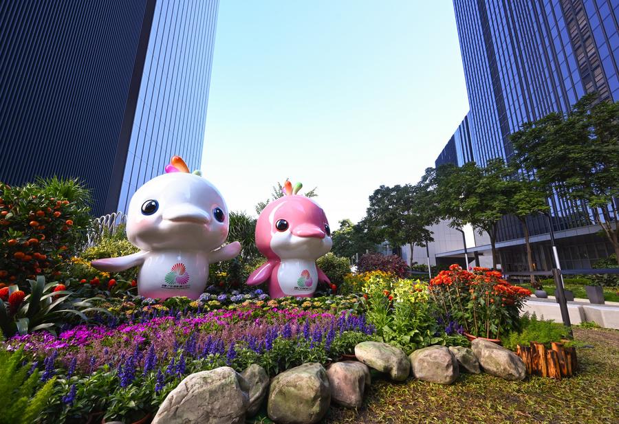 Çin'in 15. Ulusal Oyunları, Guangdong-Hong Kong-Macao Büyük Körfez Bölgesi'nde Başlıyor