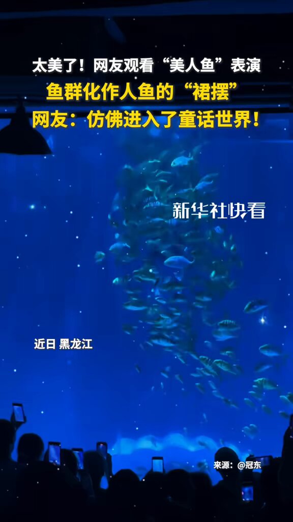 Heilongjiang'da Denizkızı Performansı Büyüledi