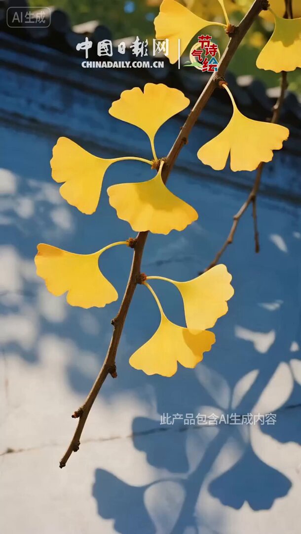 Kışın İlk İşareti: 'Start of Winter' ile Doğa Dinlenmeye Çekiliyor