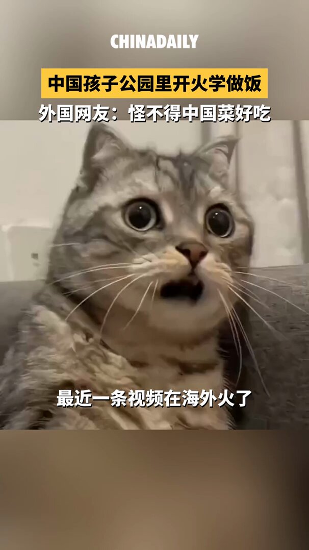 Çin'de Çocuklar için 20 Yuan'a Açık Hava Mutfağında Yemek Atölyesi