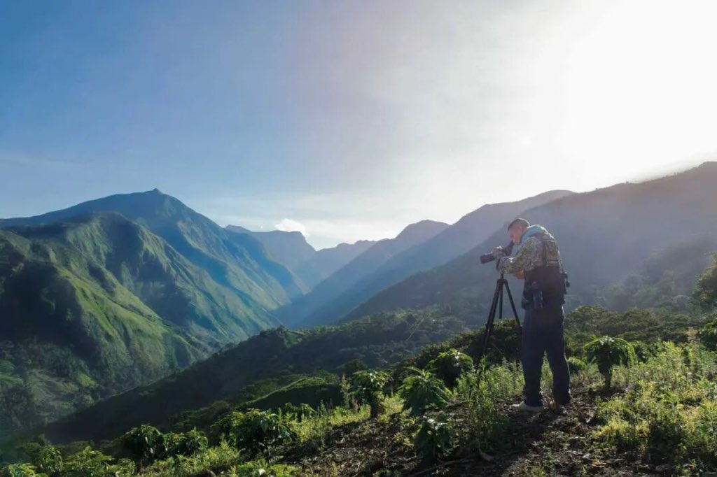 Kolombiya, Çin Uluslararası İthalat Fuarı'nda Onur Konuğu Olarak Yer Alıyor