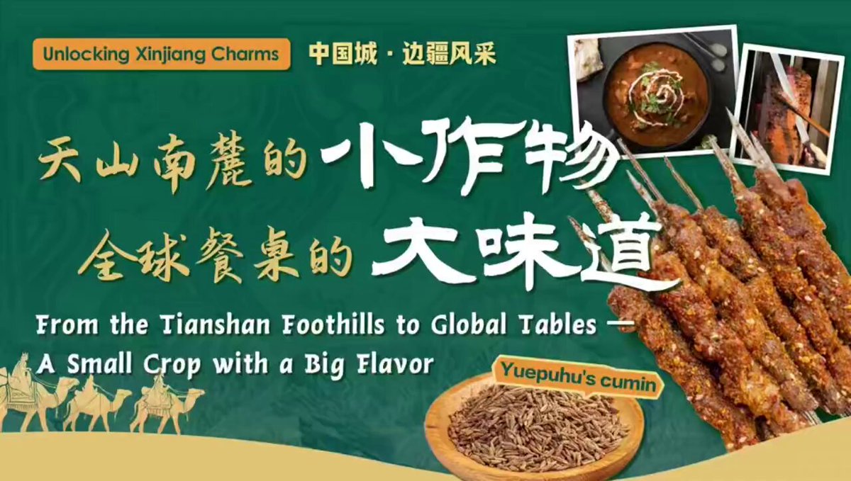 Yuepuhu'da Yetişen Kimyon, Dijital Üretimle Dünya Pazarlarına Açılıyor