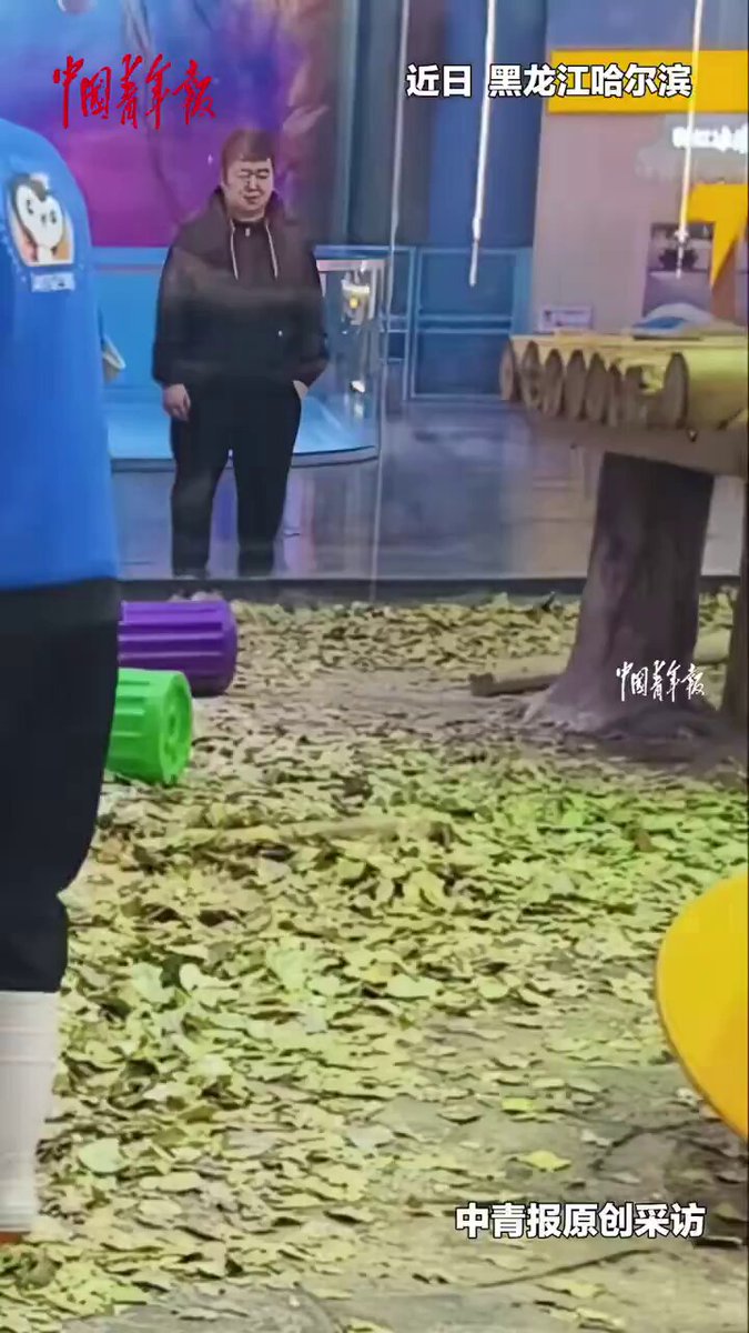 Yavru Aslan Yaprak Yığınında Neşeyle Oynadı