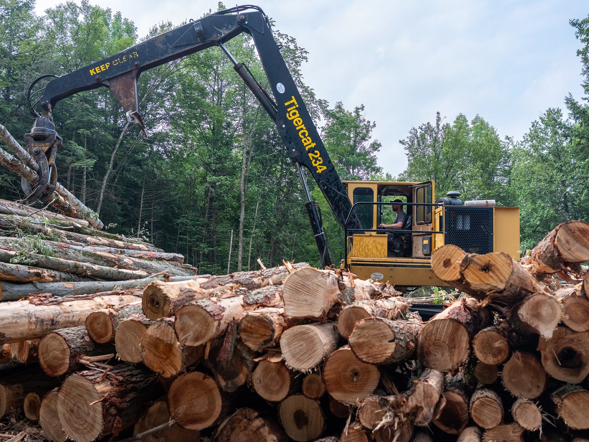 Çin, ABD'den Tomruk İthalatına İlişkin Askı Kararını Kaldırdı