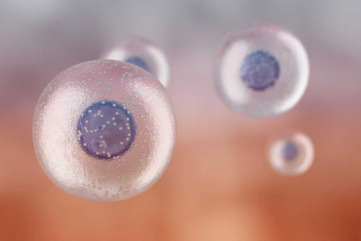 Tsinghua Üniversitesi'nden Diyabet Tedavisinde Çığır Açan Hücre Tedavisi