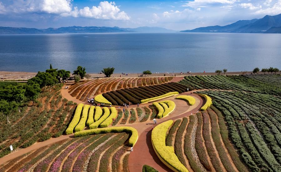 Çin, Karbon Zirvesi ve Karbon Nötrlüğü için Planlarını ve Çözümlerini Açıkladı