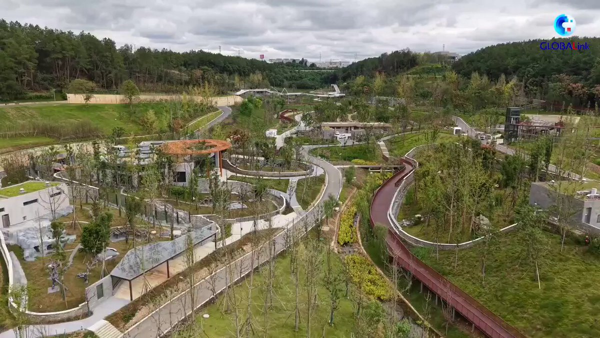 Çin, Dev Pandaların Korunması İçin Yeni Bir Üs Kurdu