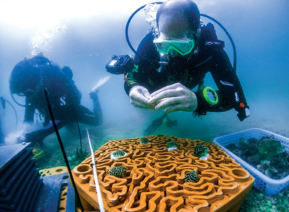 Hong Kong'un Gizli Hazinesi: Subtropikal Sularının Doğal Güzelliği Keşfediliyor