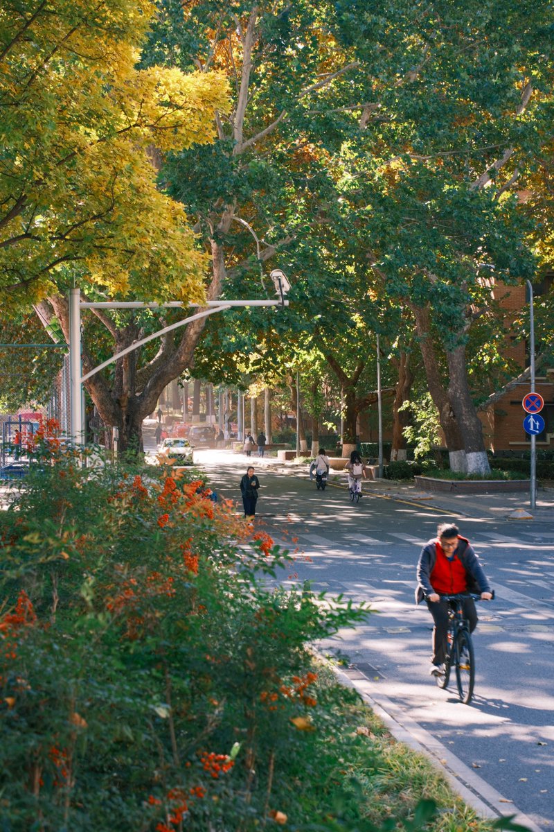 Tsinghua Üniversitesi'nden Sınav Stresiyle Başa Çıkma Çağrısı