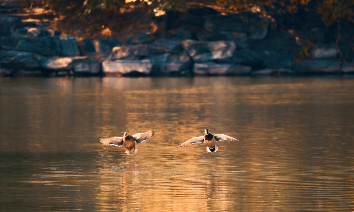 Peking Üniversitesi'nde Romantik Anlar: Kampüste "Smooch Time" Etkinliği