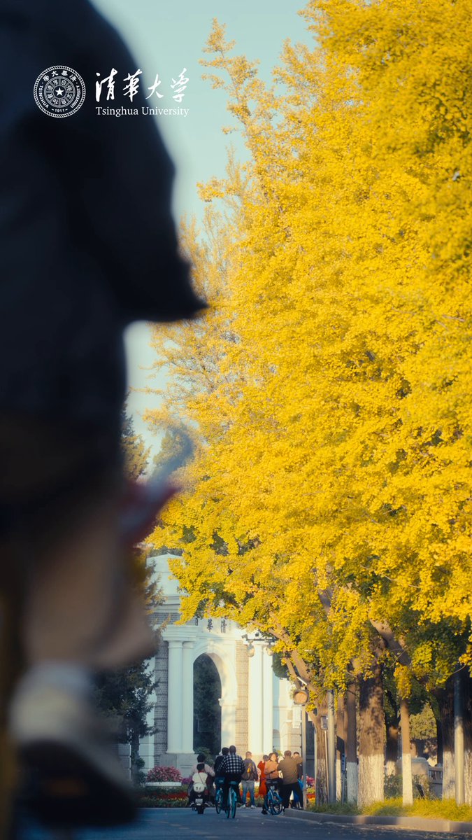 Tsinghua Üniversitesi'nde Sonbaharın Büyüleyici Görkemi