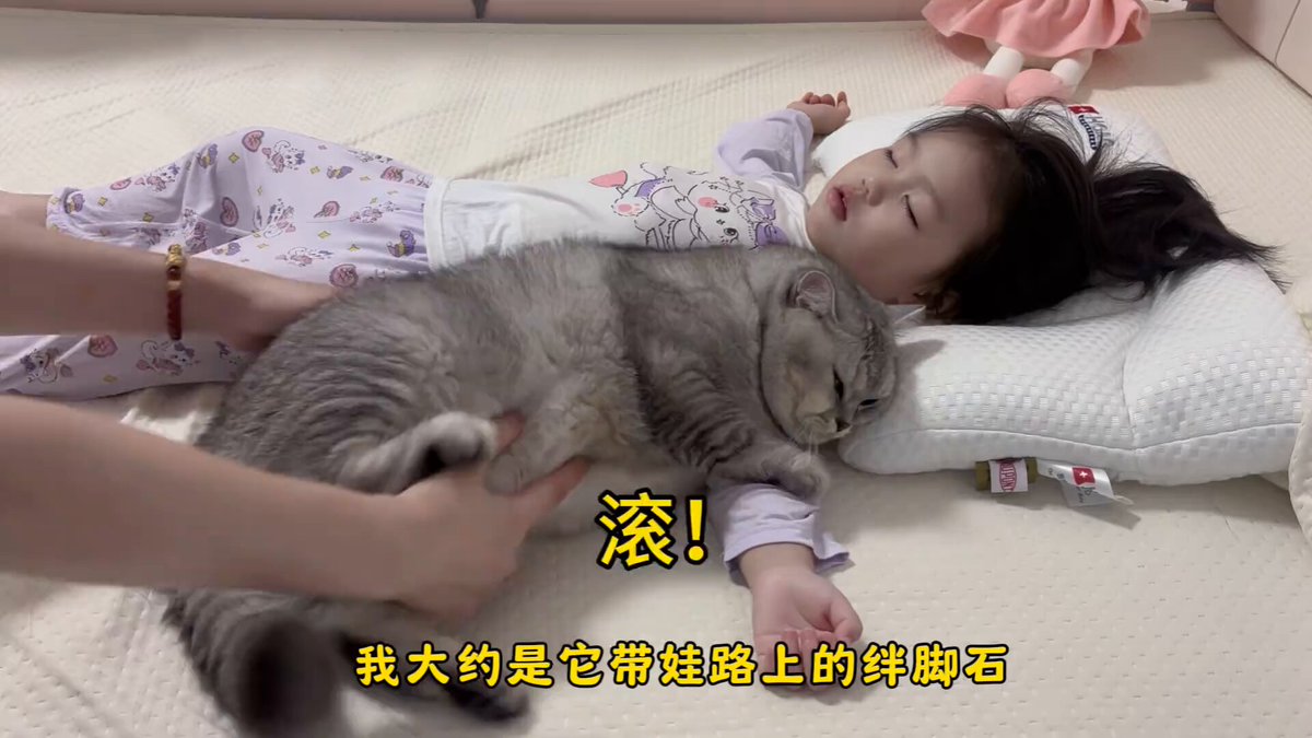 Kedisiyle Bırakmak Bilmeyen Kız Çocuğunun Kalpleri Eriten Anı