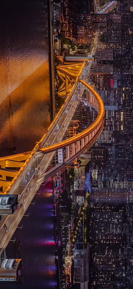 Çin Dışişleri Bakanlığı Sözcüsü Mao Ning: Şangay'ın Dinamizmi ve Diplomatik İlkeler