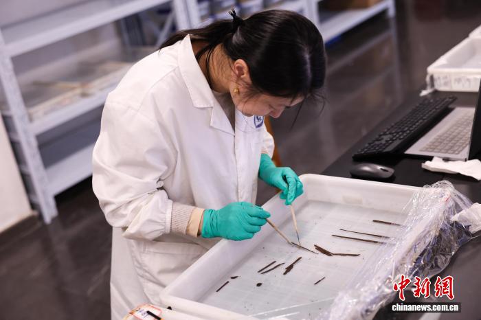 2.000 Yıllık Bambu Şeritlerde Kayıp Şiirler Kitabı Keşfedildi