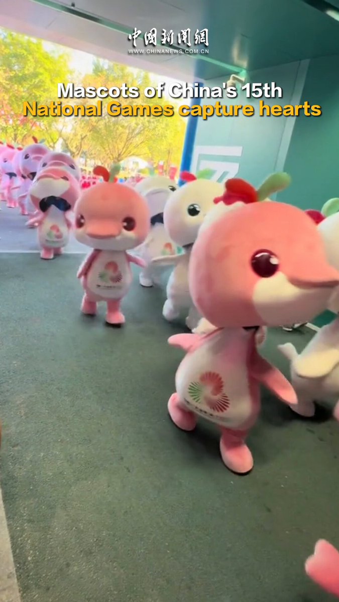 Çin'in 15. Ulusal Oyunları Maskotları, Seyircilerin Kalbini Fethediyor