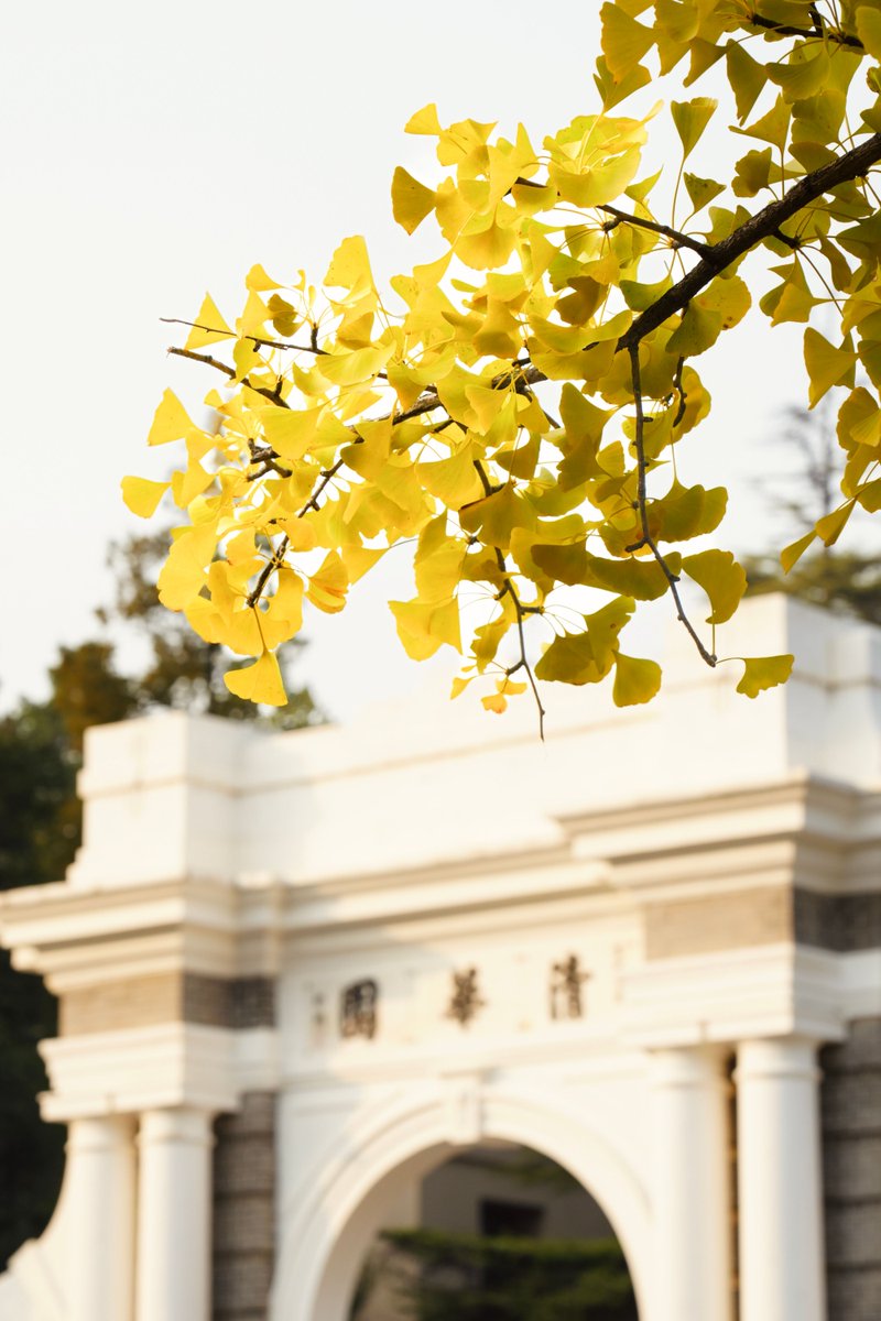 Tsinghua Üniversitesi, Öğrenciler için "TsinghuaRen" Portre Projesini Başlattı
