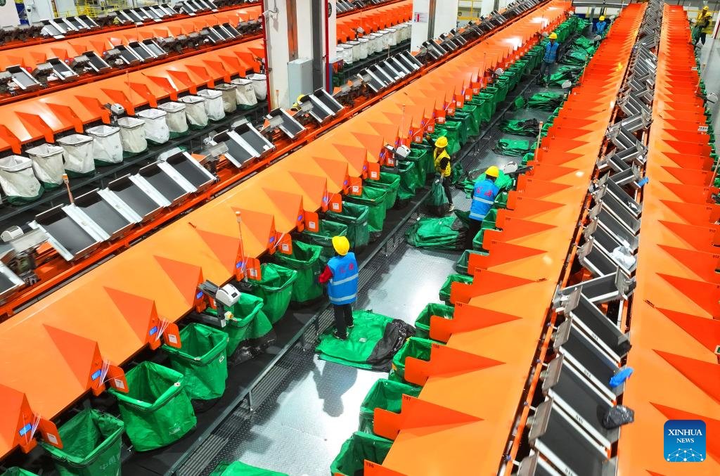 Çin'de Çift 11 Alışveriş Festivali: Tüketimde Akıllı, Yeşil ve Duygusal Ürünler Öne Çıkıyor