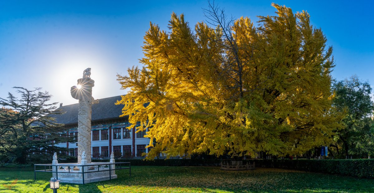 Peking Üniversitesi'nde Bir Fizikçinin Gözünden Sonbahar Manzaraları