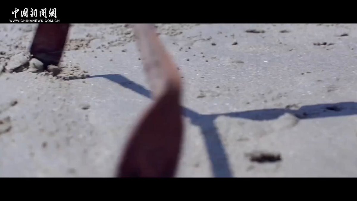 Çin'in Tek Okyanus Kökenli Etnik Grubu: Jing Halkının Denizle Uyum İçinde Yaşam Sırları