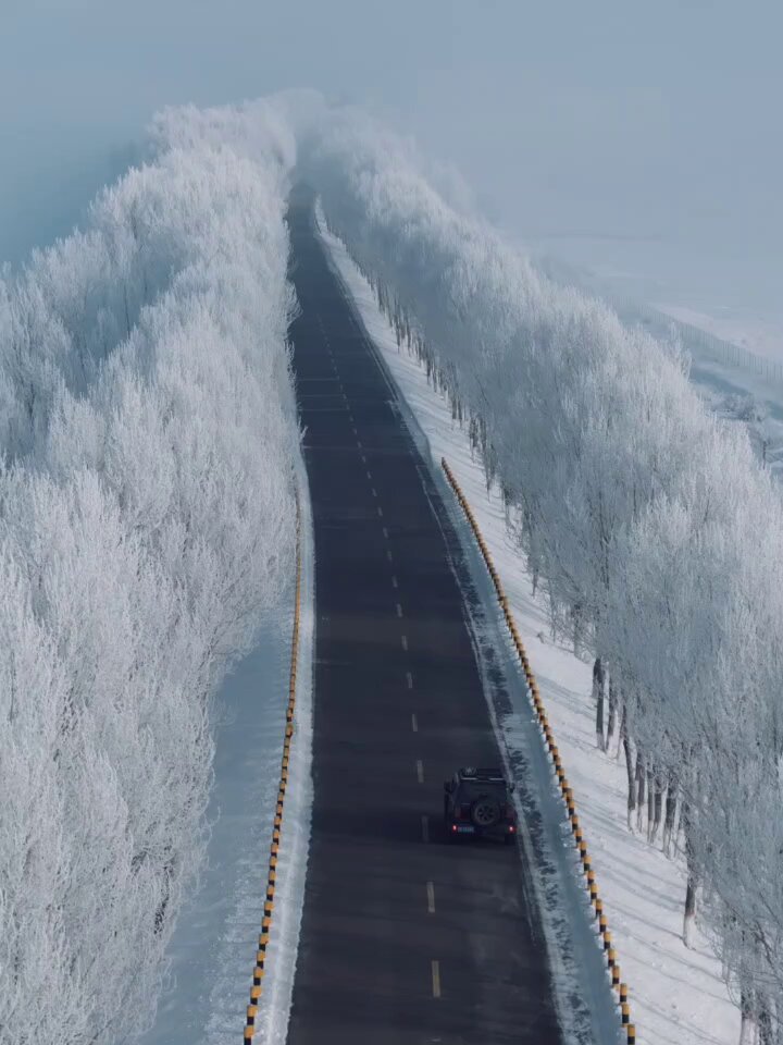 İli'de Rüya Gibi Bir Manzara: Ağaçlar Buzul Çiçeklere Büründü