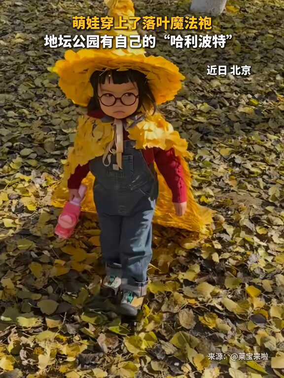 Düşen Yapraklardan Yapılmış Büyülü Bir Cübbe