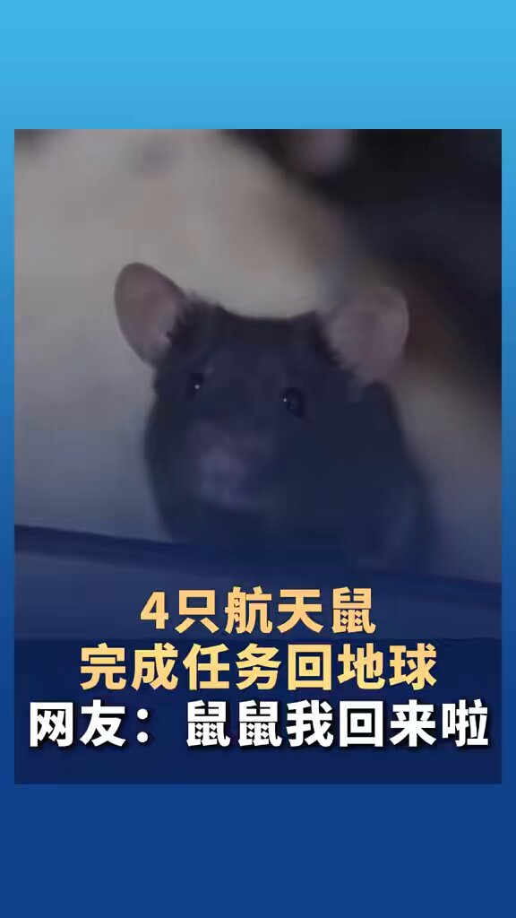 Uzay Fareleri Görevlerini Tamamlayarak Dünya'ya Sağlıklı Döndü