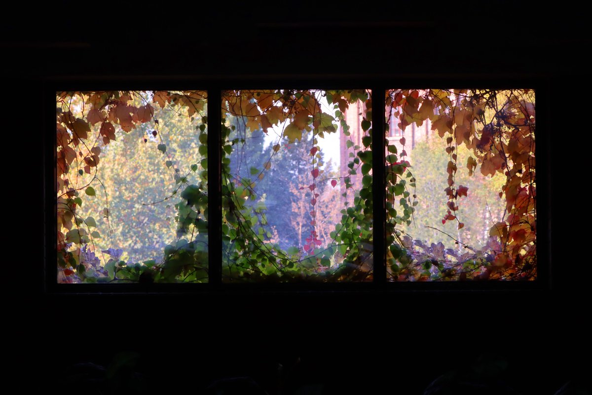 Tsinghua Üniversitesi'nin Yapay Zeka Altyapısı ve Yönetim Anlayışı