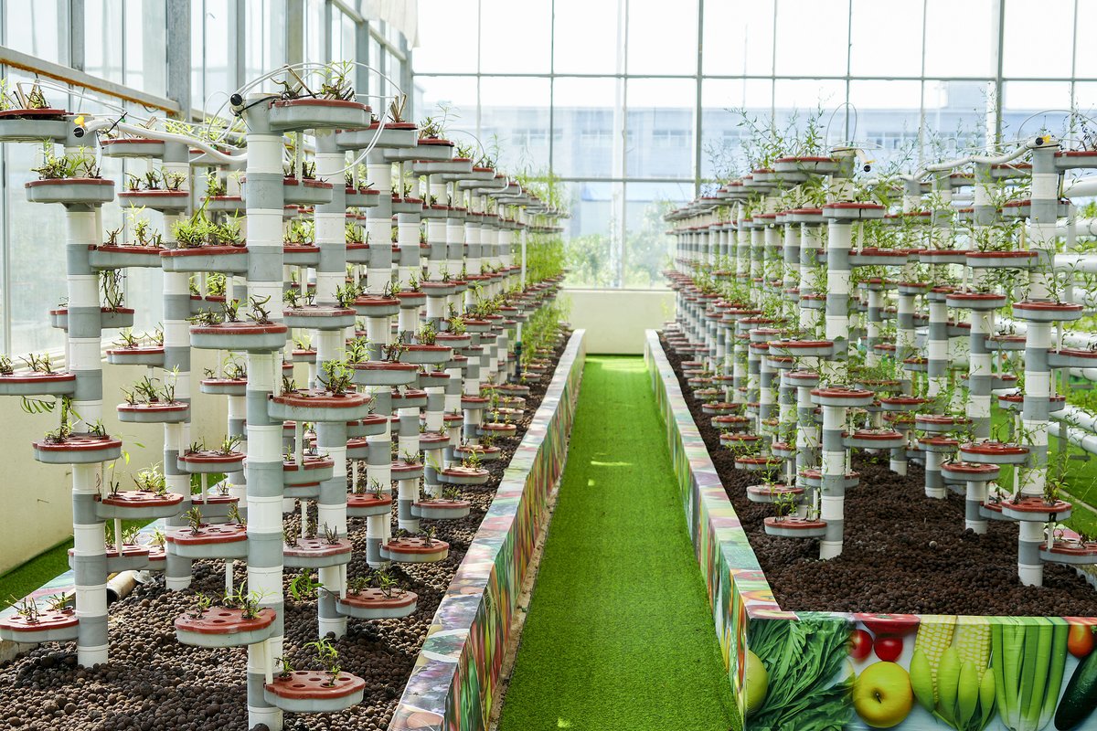 Çin Tohum Endüstrisi ile Tarımda Modernleşme Hedefliyor