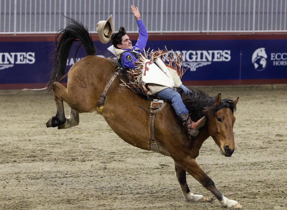 Kanada'da Geleneksel Rodeo Heyecanı: Toronto'da 2025 Kraliyet At Şovu Düzenlendi