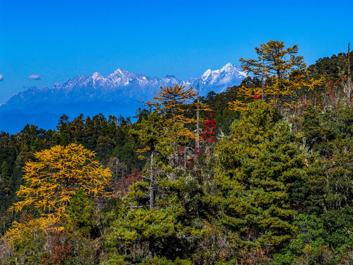 Lijiang'daki 99 Ejderha Havuzları, Yılın En Büyüleyici Zamanını Yaşıyor