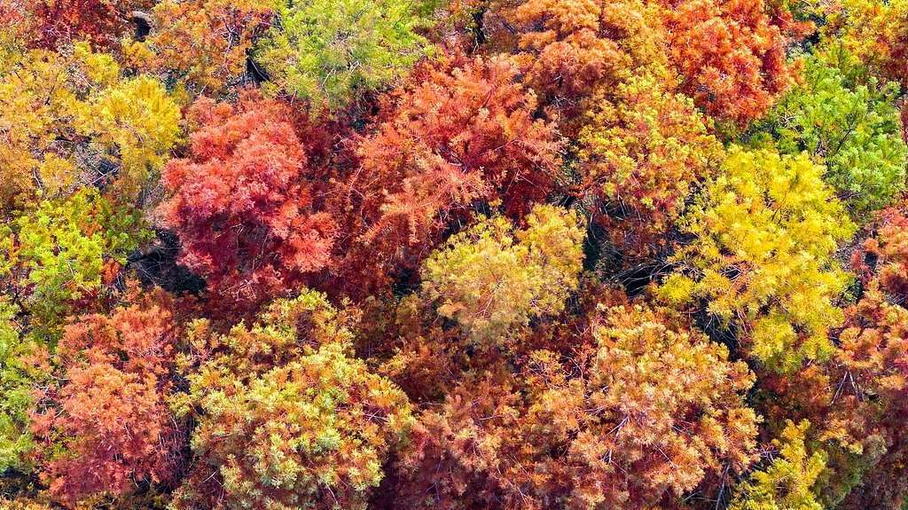 Çin'deki Tangdao Koyu, İklim Değişikliğiyle Mücadelede Doğal Çözümlerin Önemini Gösteriyor