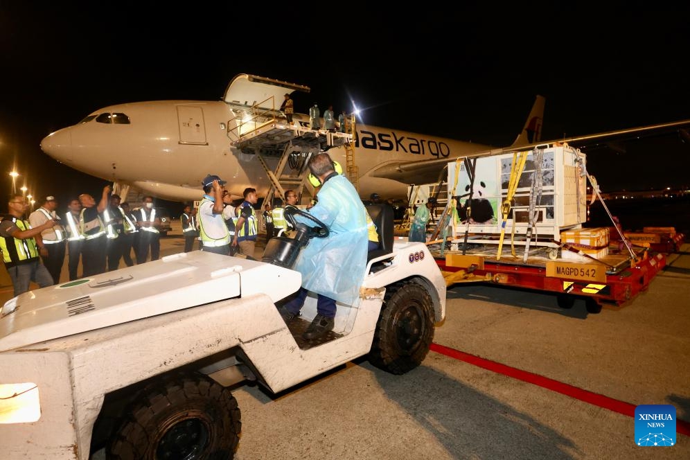 Malezya'ya Yeni Dev Panda Çifti Geldi