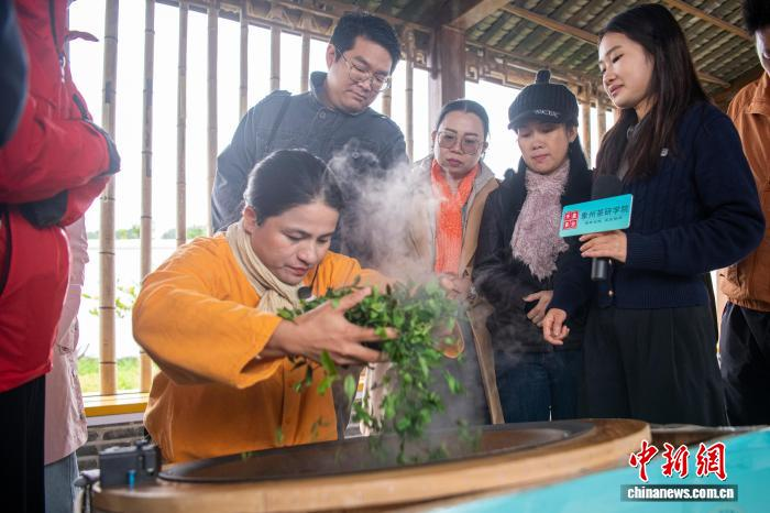 Uluslararası Gazeteciler Guangxi'de Çin Çay Kültürünü Deneyimledi