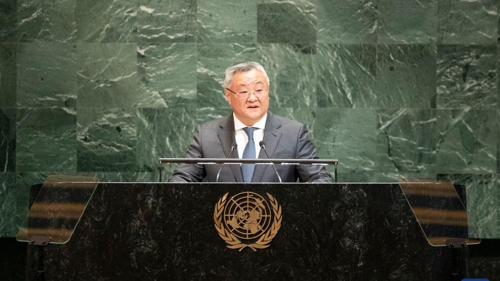 Japonya'nın BM Güvenlik Konseyi Daimi Üyelik Hedefine Yönelik Eleştiriler