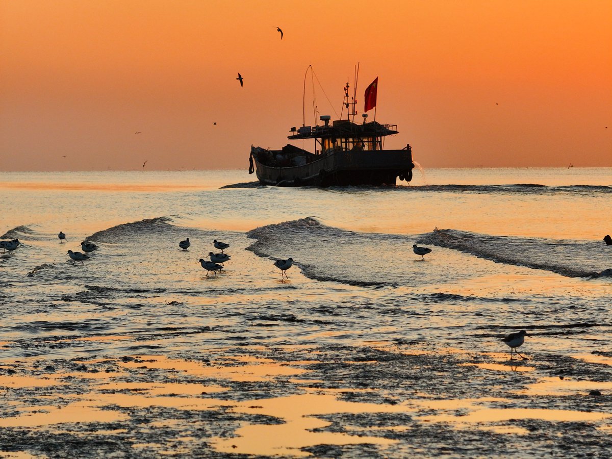 Erken Kışın Renk Cümbüşü: Çin'in Doğal Güzellikleri Göz Kamaştırıyor