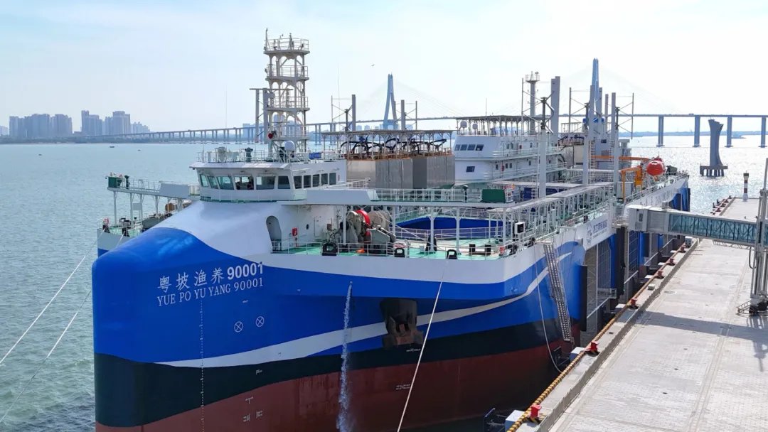 Çin, Dünyanın İlk Dinamik Konumlandırmalı Yüzer Ağ Kafes Yetiştiricilik Gemisini Teslim Aldı