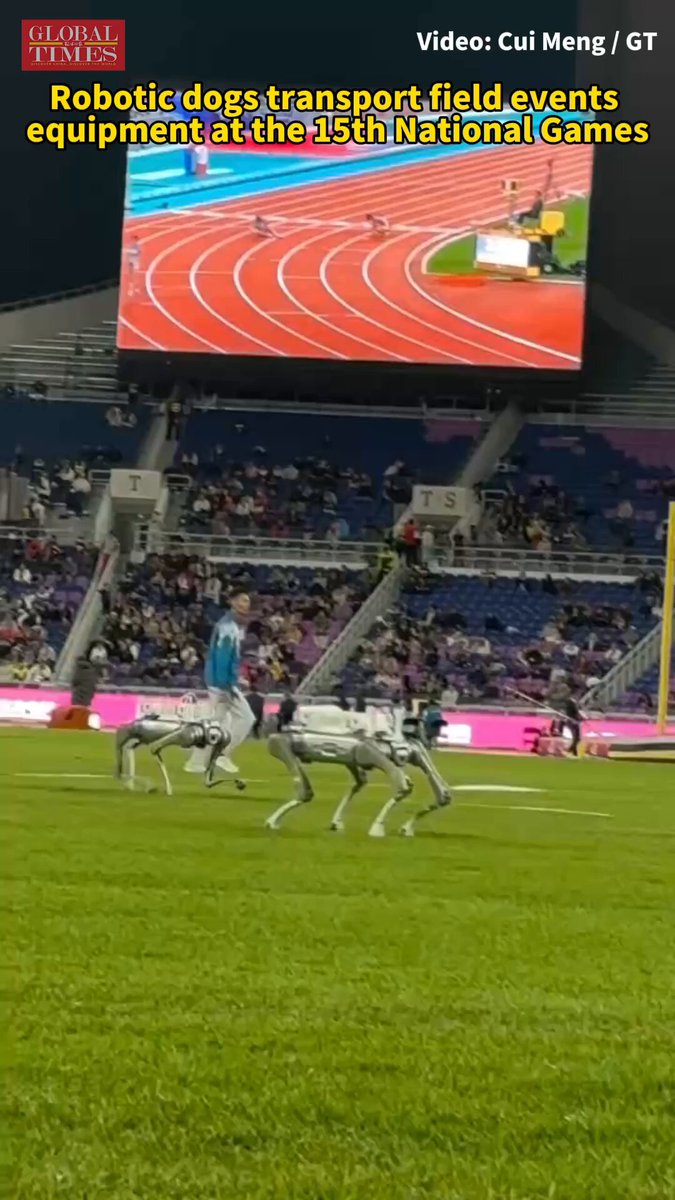 Atletizm Müsabakalarında Robot Köpekler İş Başında