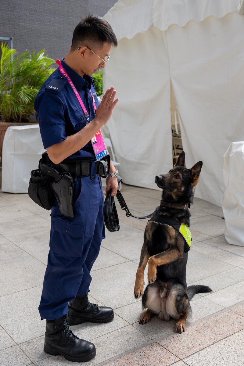 Hong Kong Polis Köpeği Rich, Çin Ulusal Oyunları'nda Güvenliği Sağlıyor