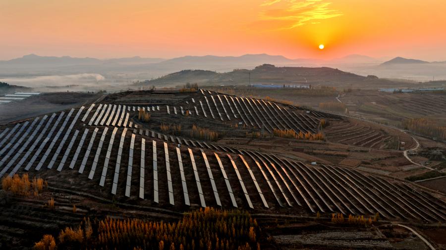 Shandong, Karbon Nötr Hedeflerine Doğru Kararlı Adımlarla İlerliyor