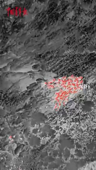 Çin'de Kaybolan 67 Keçi Termal Görüntülü Drone ile Bulundu