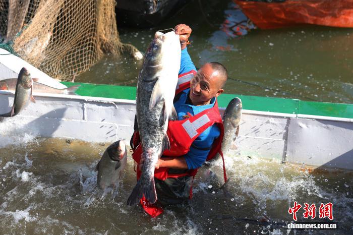 Jiangxi Jiujiang'da Balık Hasadı Başladı: Bereketli Ağlar Göz Kamaştırdı