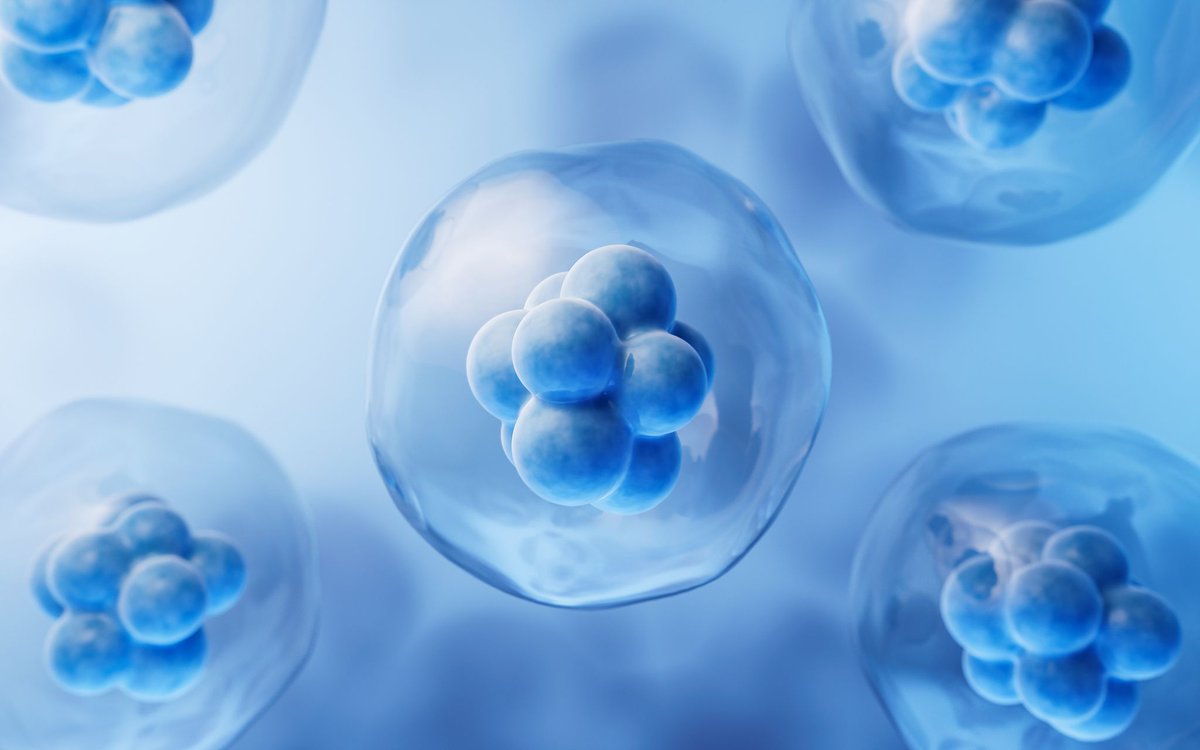 Tsinghua Üniversitesi, Bağırsak Gelişiminde Yeni Hücre Tipi Keşfetti