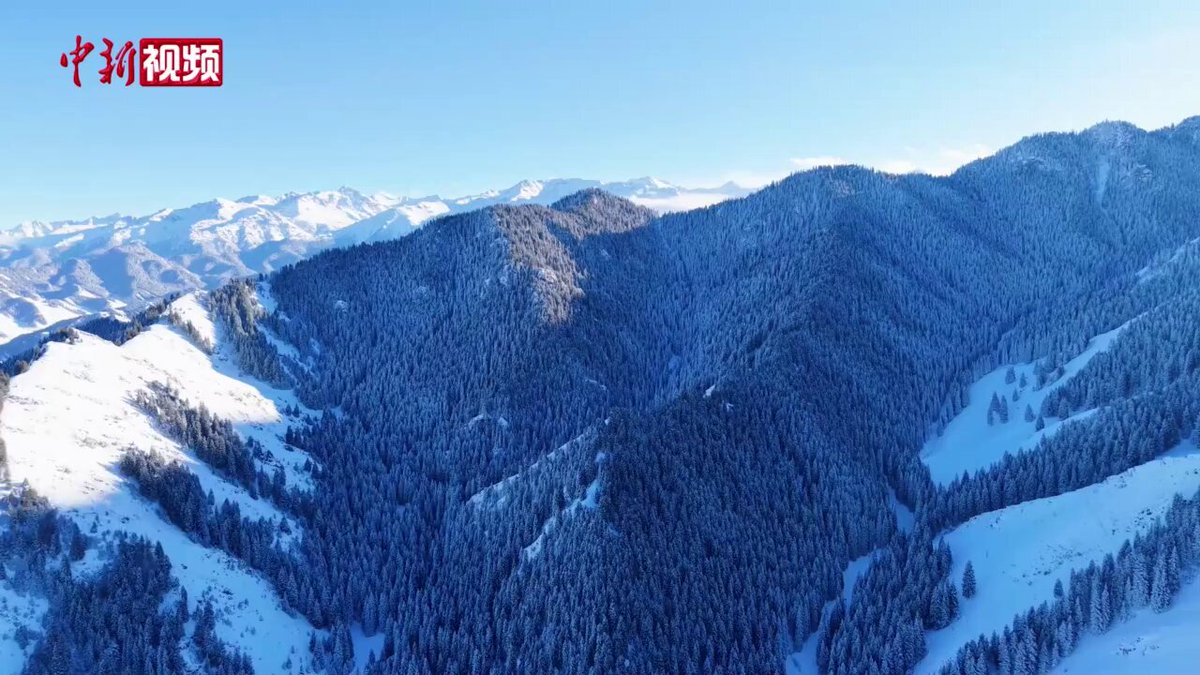 Doğu Tianshan Dağları'nda Kış Manzarası: Karla Örtülü Zirveler ve Yeşil Çamların Uyumu
