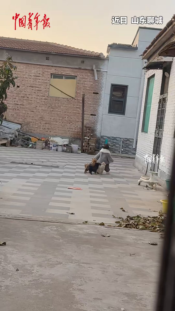 1 Yaşındaki Bebeğin Güvenliği Köpek Dostlarına Emanet