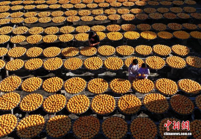 Gongcheng'de Geleneksel Yöntemlerle Persimmon Kurutma Zamanı