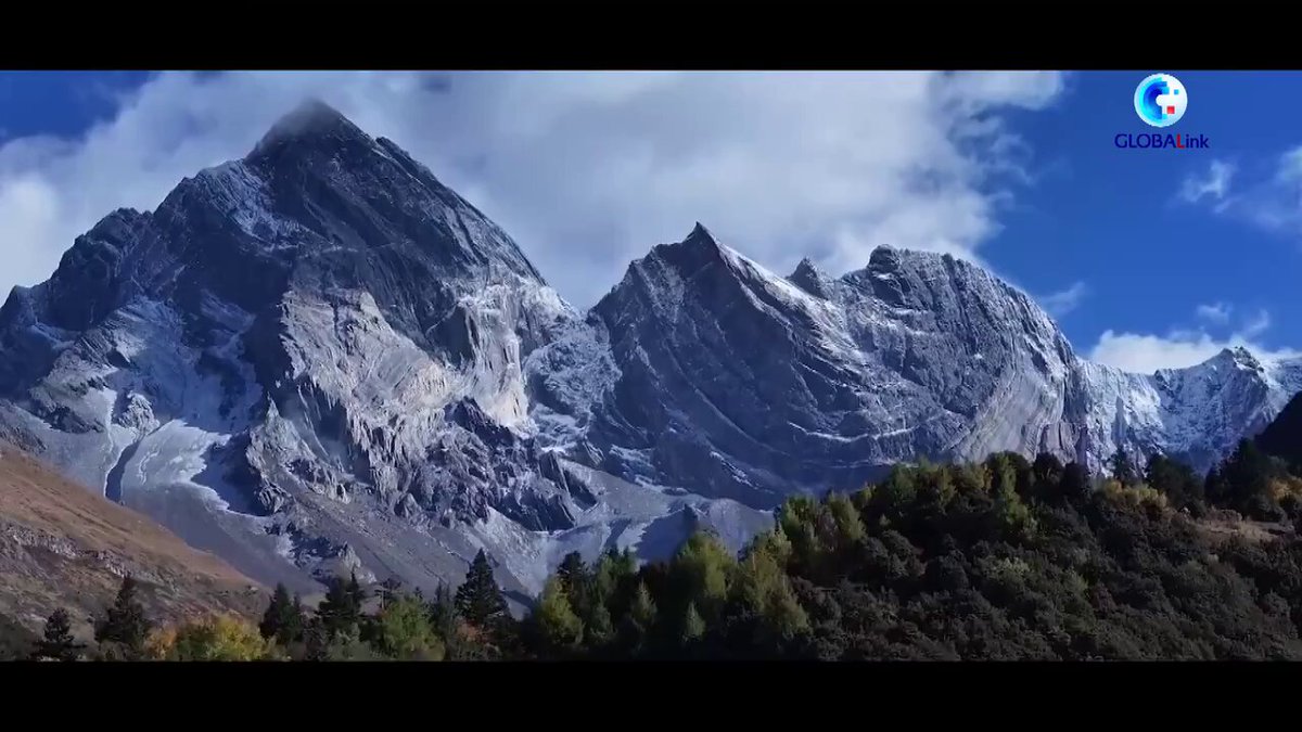 Dev Pandaların Yaşam Alanı: Çin'deki Dev Panda Milli Parkı'nın Koruma Başarısı