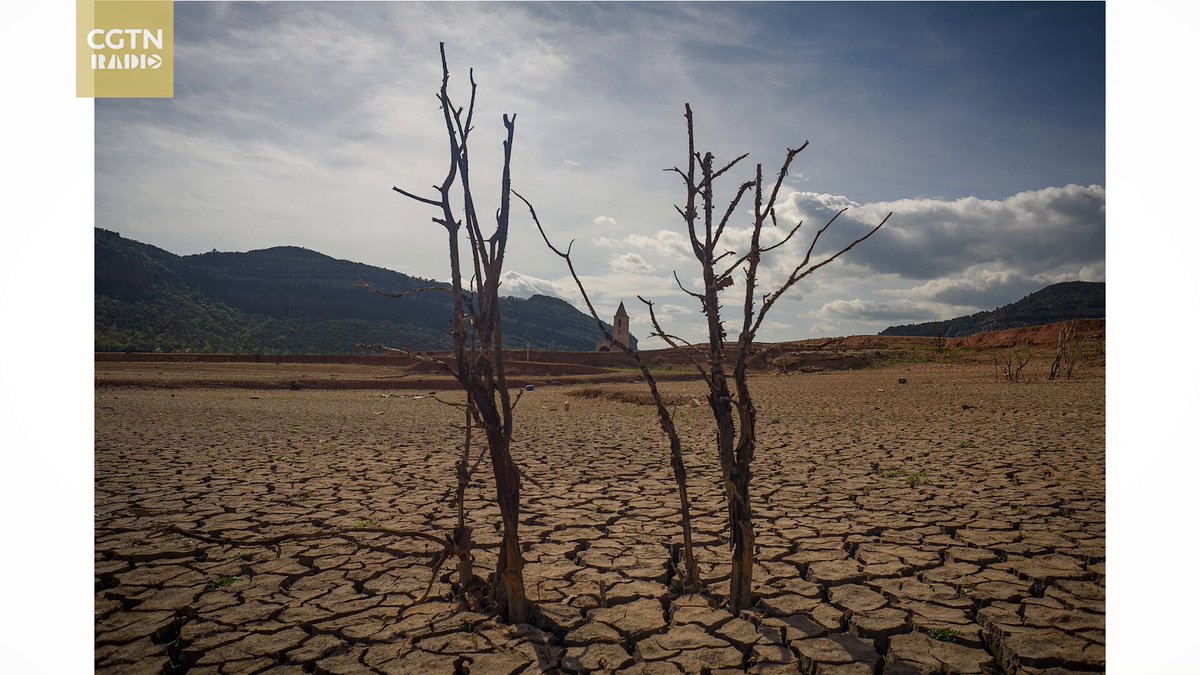 Peking Üniversitesi, İklim Değişikliğiyle Mücadelede Kadim Bilgeliği BM Cenevre'de Masaya Yatırdı